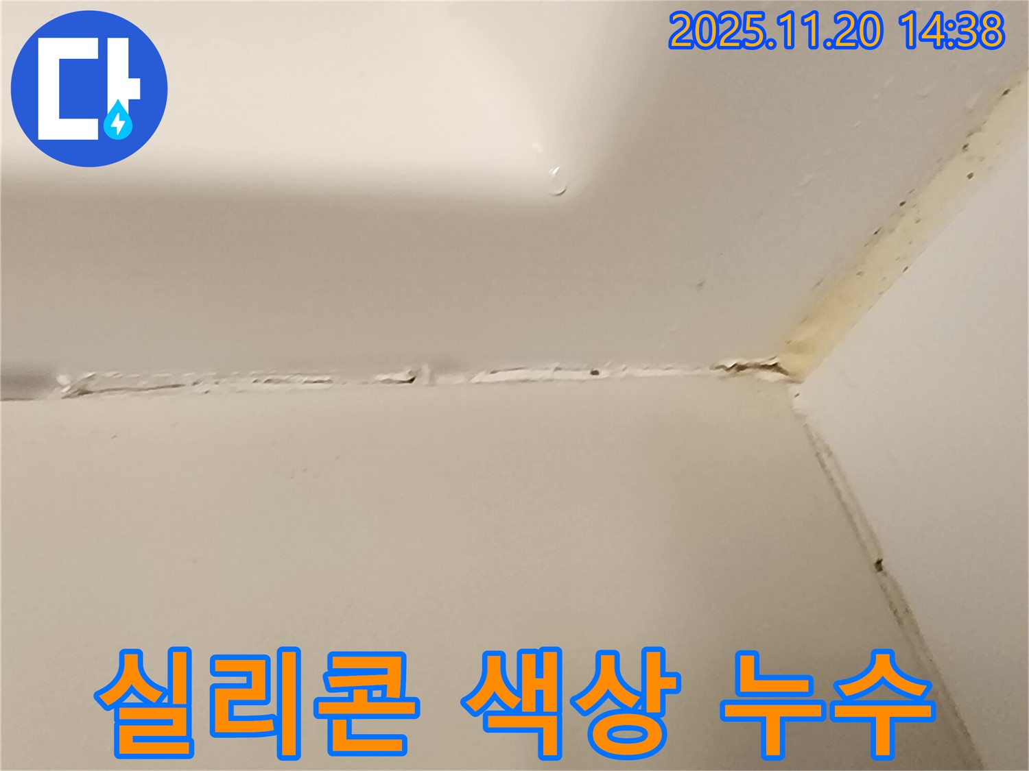 욕실 실리콘 - 색상 선택도 꼼꼼하게