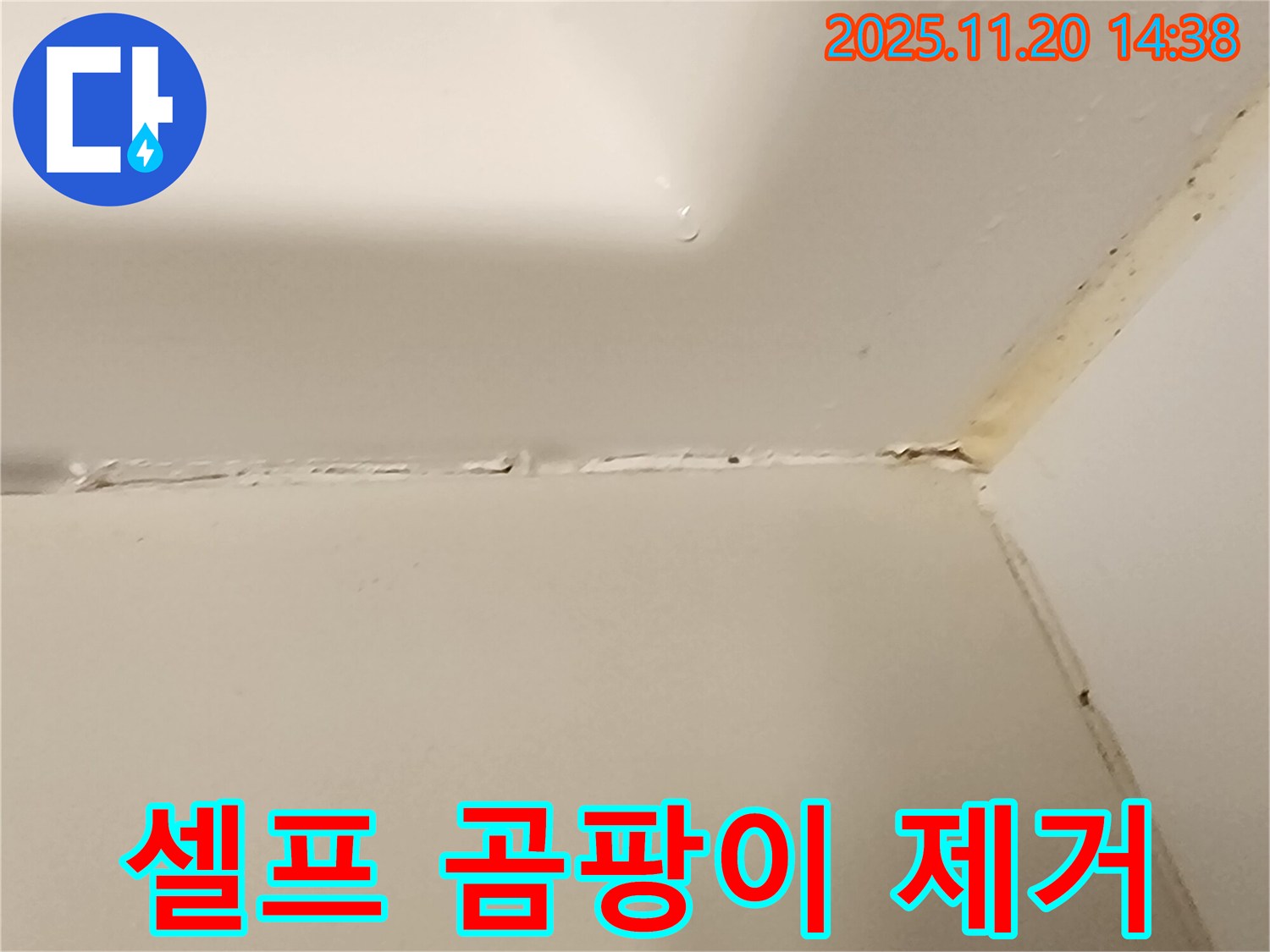 욕실 실리콘 - 셀프 곰팡이 제거 가능?