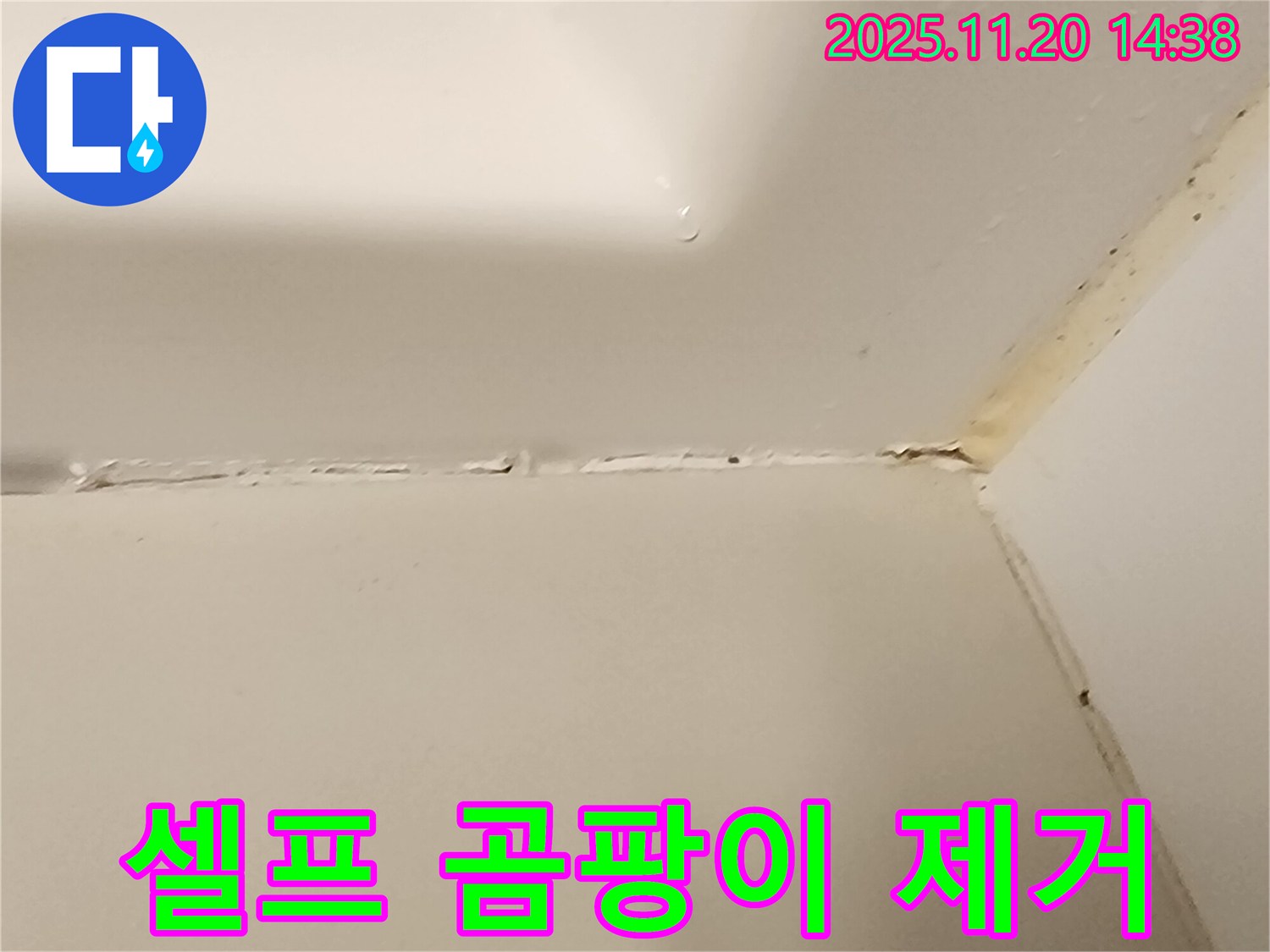 욕실 실리콘 - 셀프 제거 vs 전문가