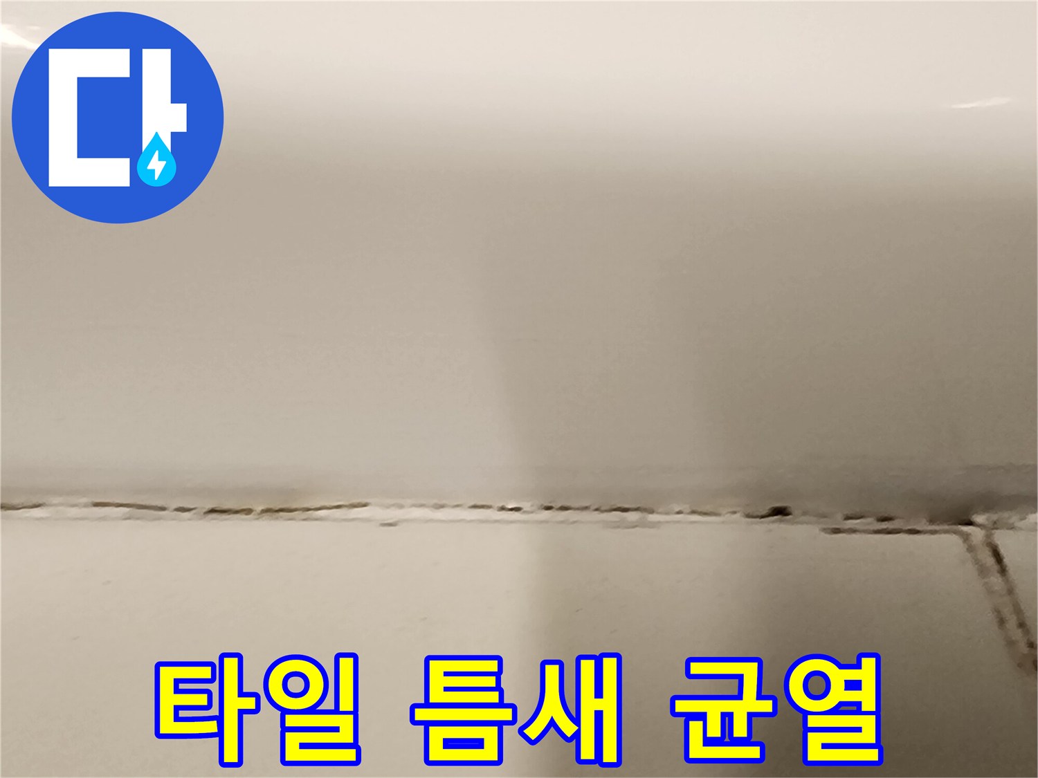 욕실-타일-사이-벌어진-균열-상태