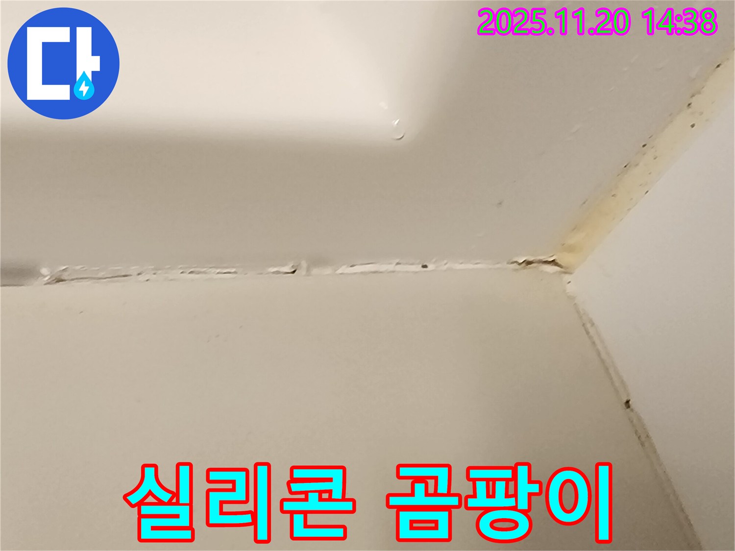 욕조 실리콘 곰팡이 - 건강 위협