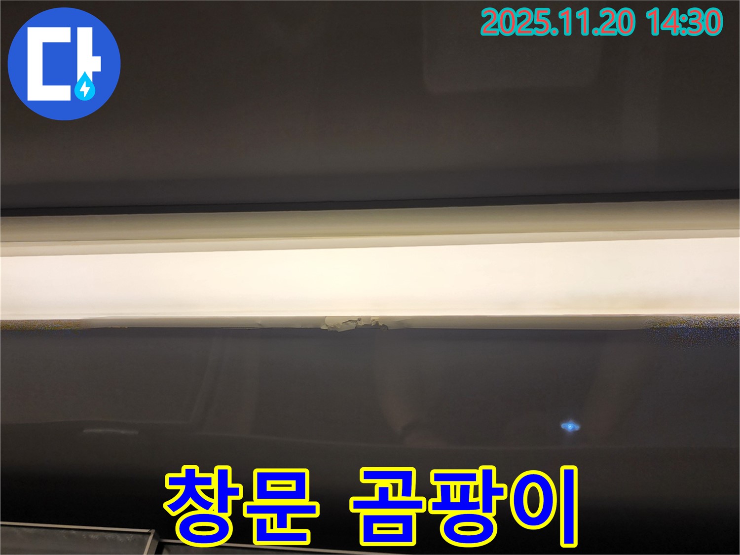 창문 곰팡이 - 건강 위협