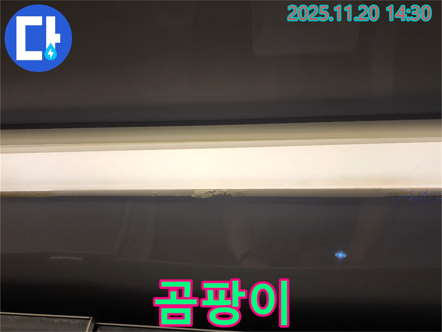 창문 상단 곰팡이 - 건강 위협