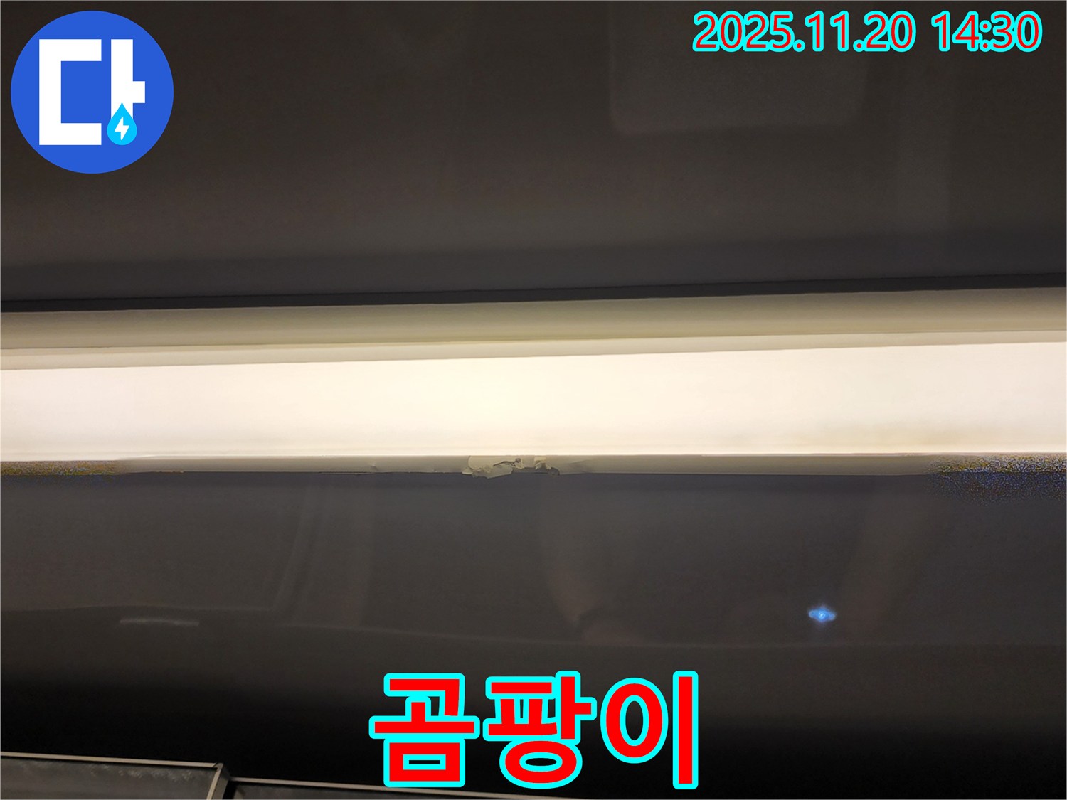 창문 상단 곰팡이 - 누수 초기 증상