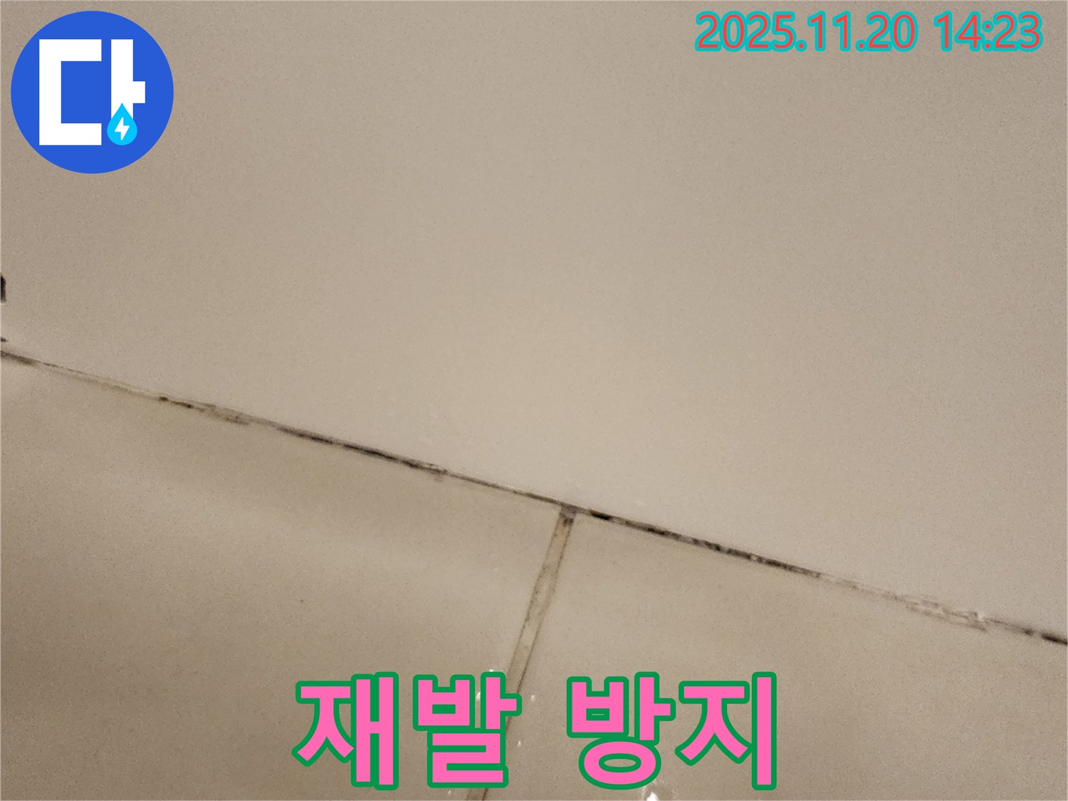 포천 가산 곰팡이 슨 타일 - 재발 방지까지 책임!