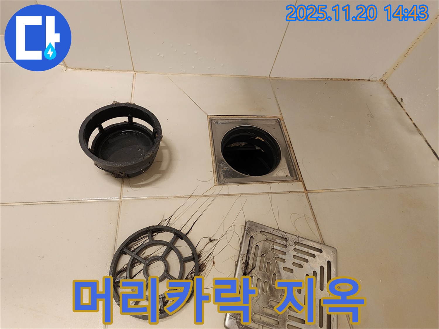 포천 가산 - 욕실 배수구, 머리카락 지옥에서 탈출 성공