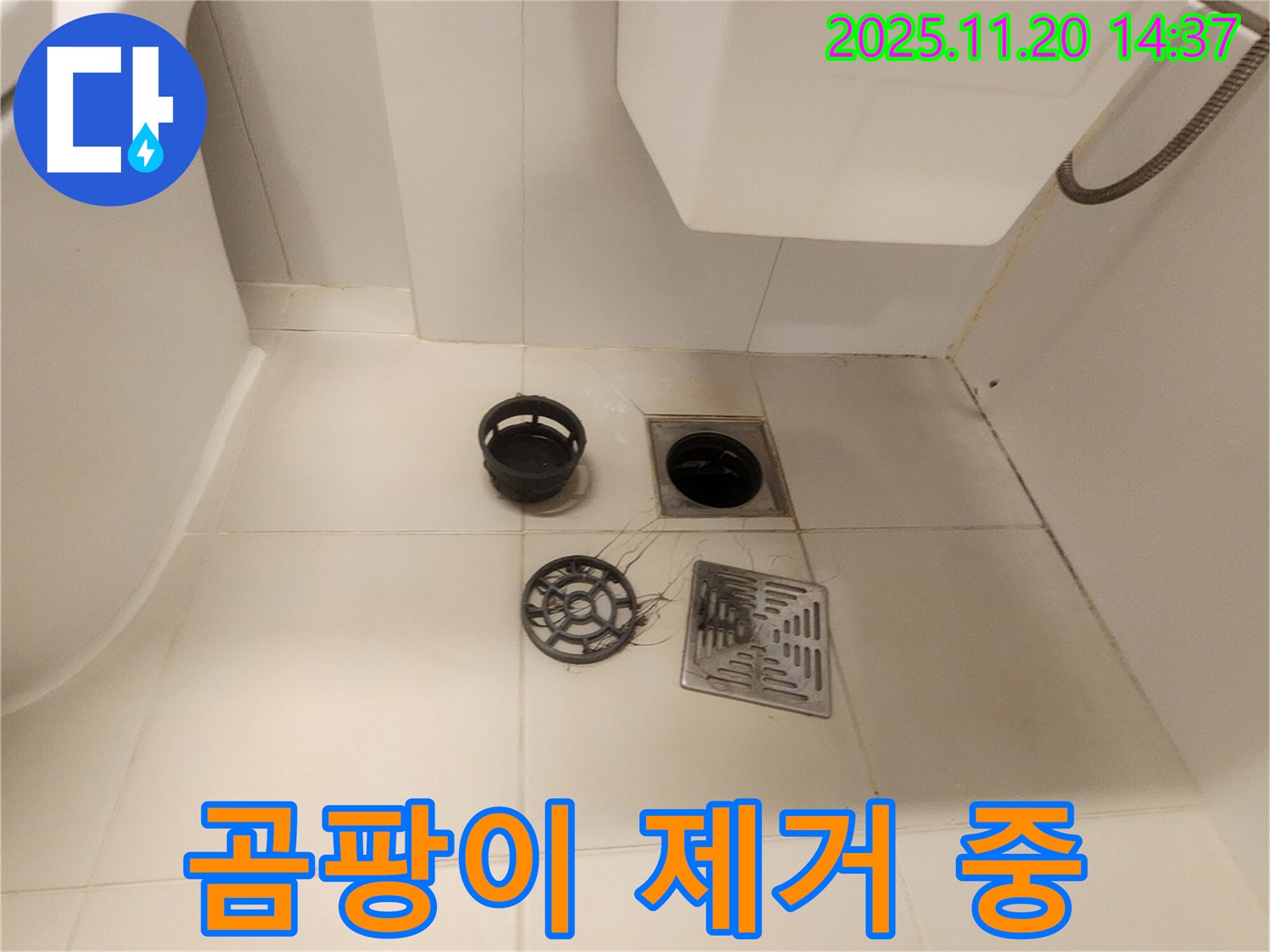 화장실 배수구 주변 곰팡이 제거 작업 진행 - 깨끗하게 제거합니다.