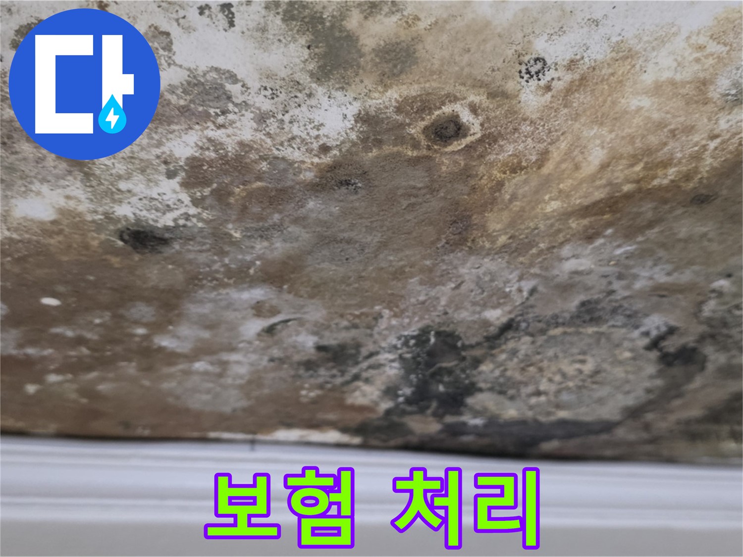누수 보험 처리 안내 - 누수 보험 처리에 대한 안내 이미지입니다.