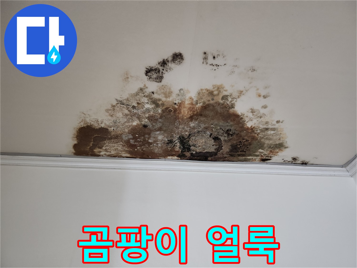 마포 누수 - 곰팡이 얼룩진 천장