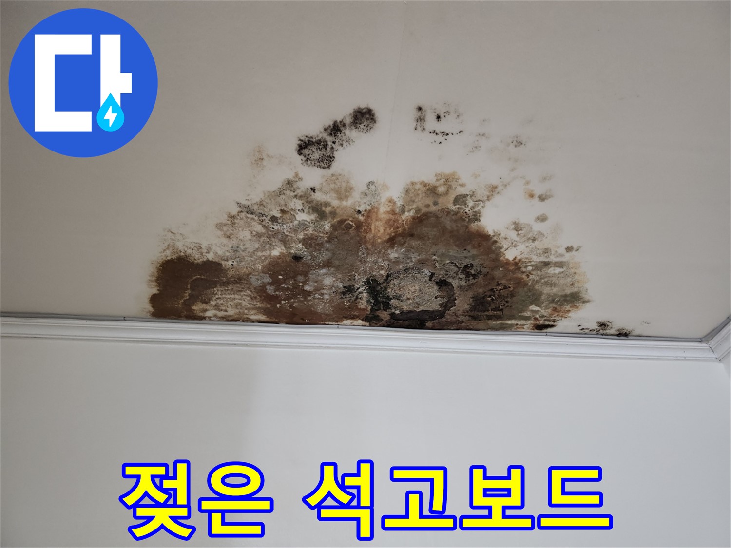 마포 누수 - 곰팡이, 젖은 석고보드