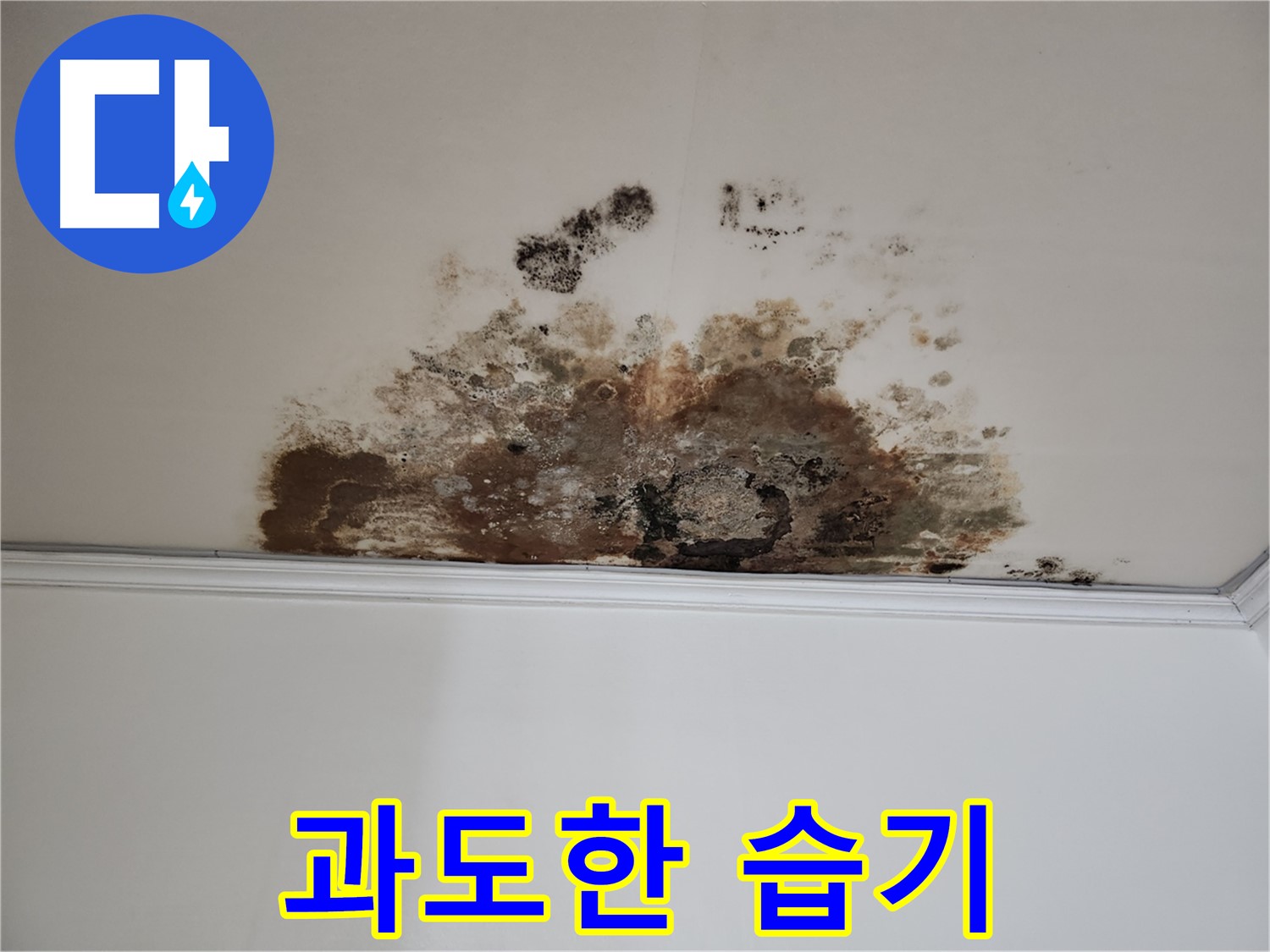 마포 누수 - 습기 제거
