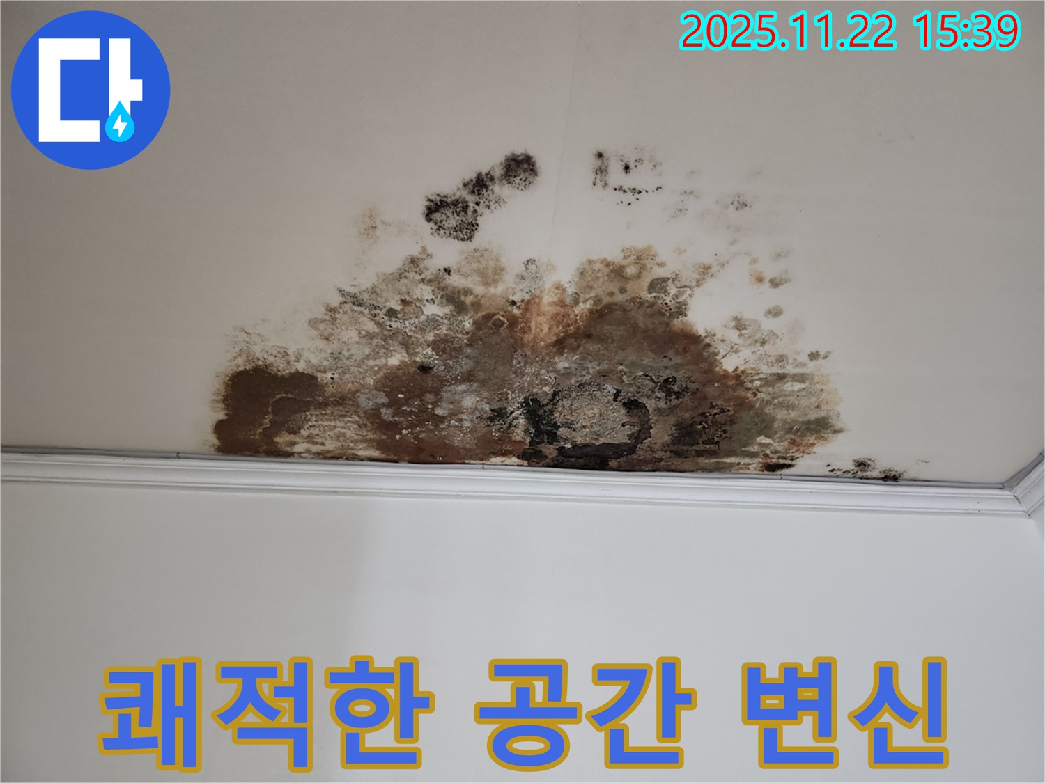 마포 용강동 누수 - 곰팡이 싹, 쾌적한 공간으로 변신