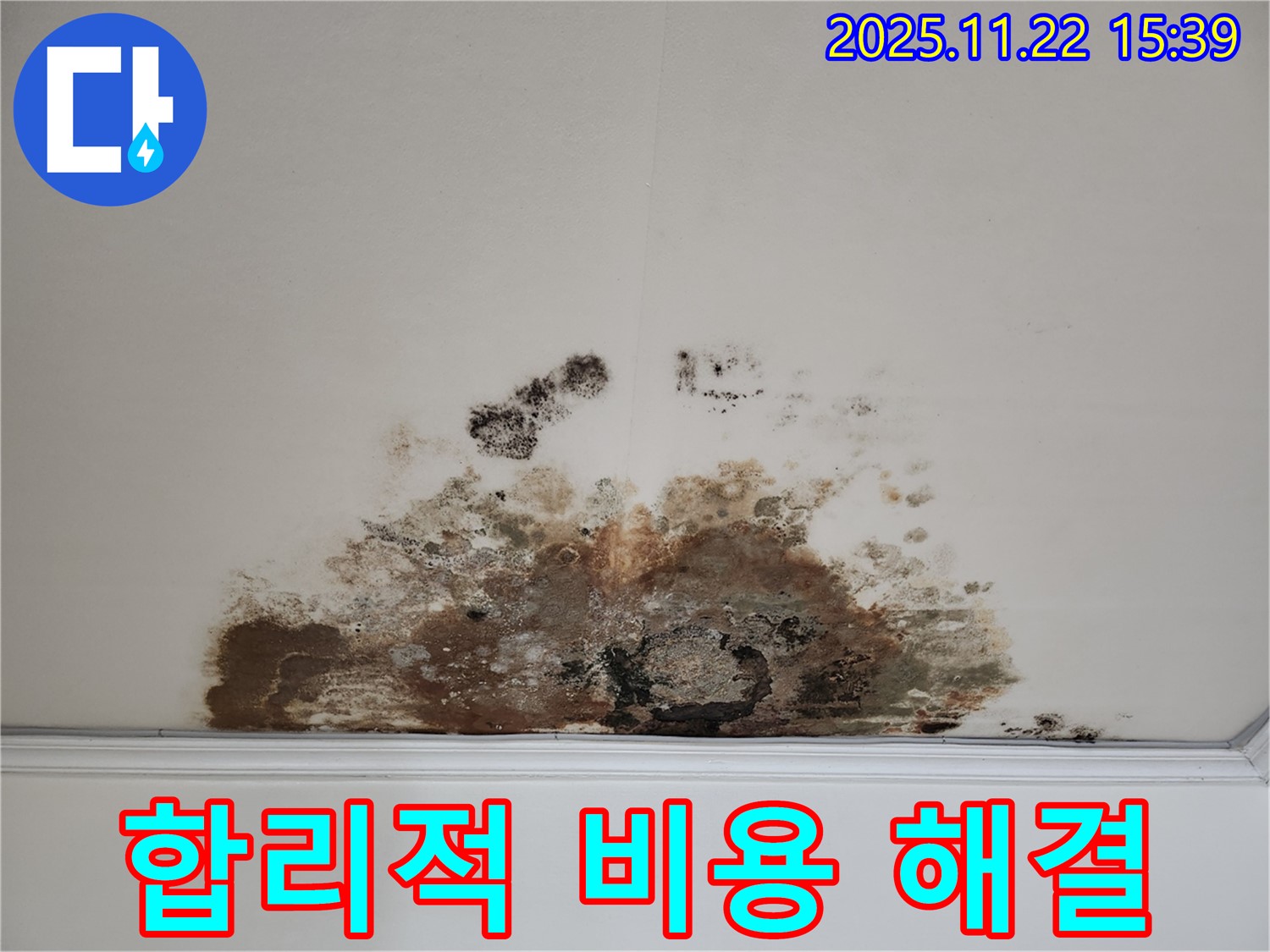 마포 용강동 아파트 천장 - 합리적인 비용으로 해결