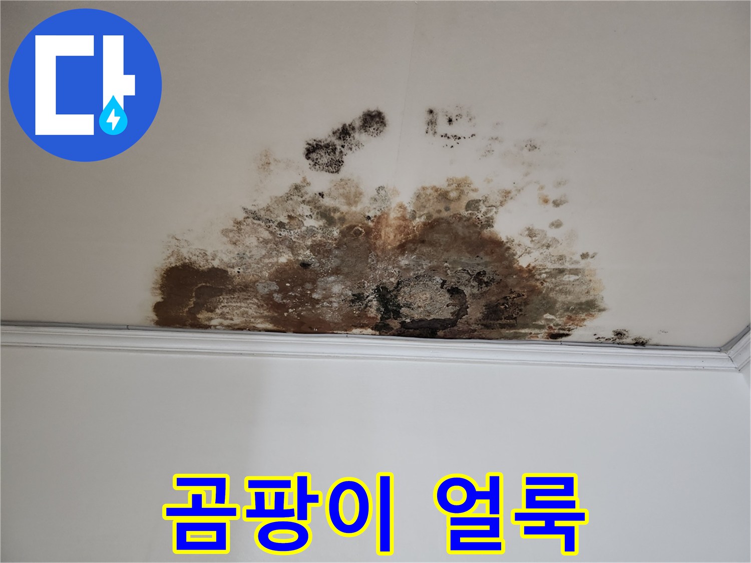 마포구 누수 - 곰팡이 얼룩진 천장