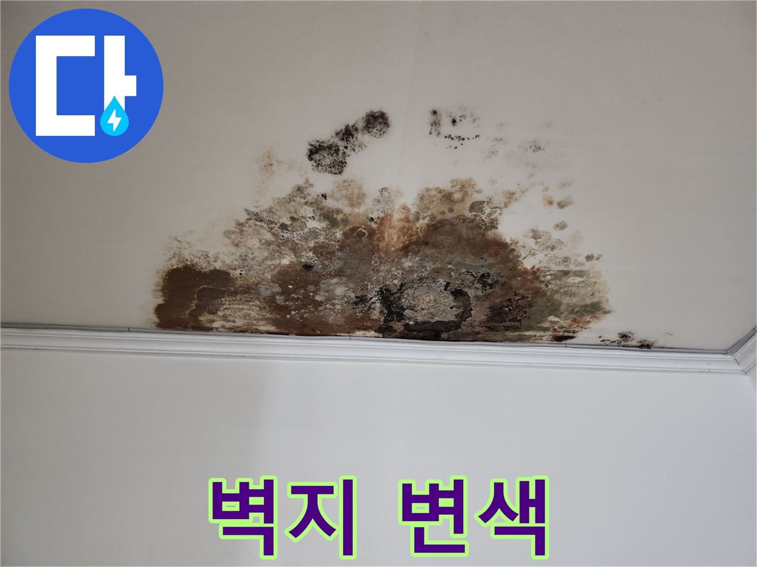 마포구 누수 - 곰팡이로 변색된 벽지