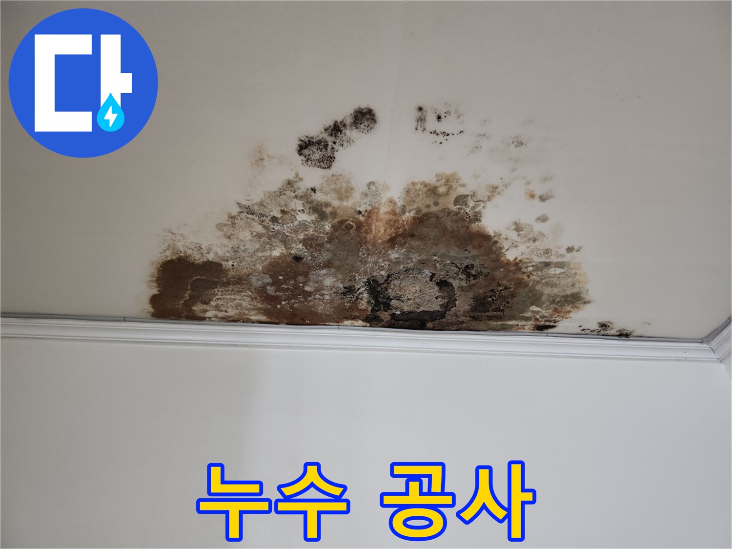 마포구 누수 - 누수 공사 진행 모습