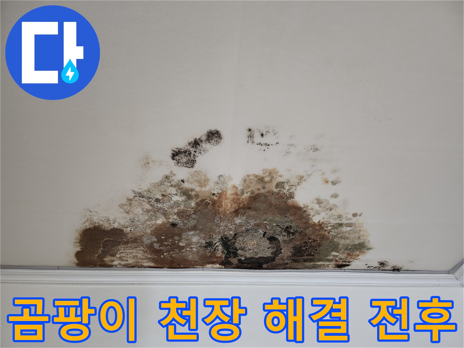 마포구 아파트 누수 - 곰팡이 천장 해결 과정 Before & After
