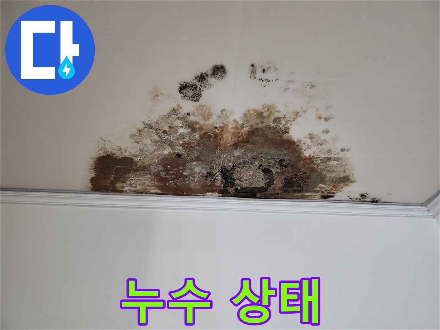 마포구 아파트 누수 - 심각한 누수 상태