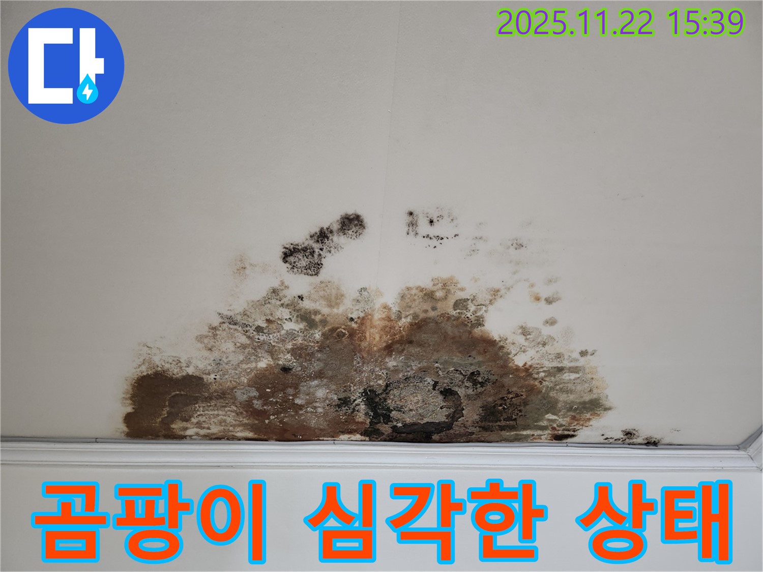 마포구 용강동 아파트 - 곰팡이 심각한 상태