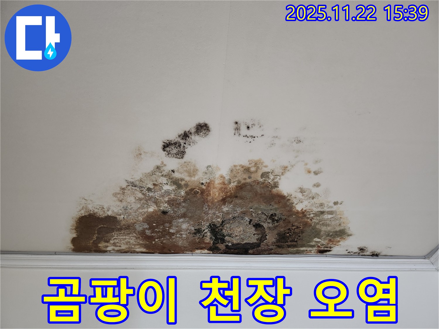 마포구 용강동 아파트 - 곰팡이로 오염된 천장