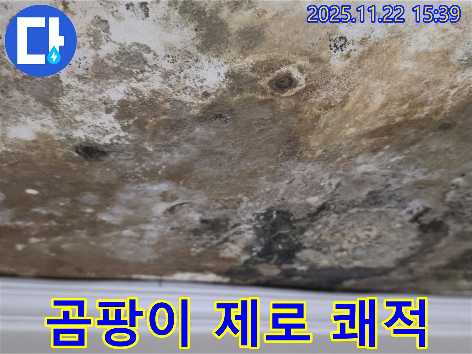 새창로8길 누수 - 곰팡이 제로, 깨끗하고 쾌적한 공간으로!