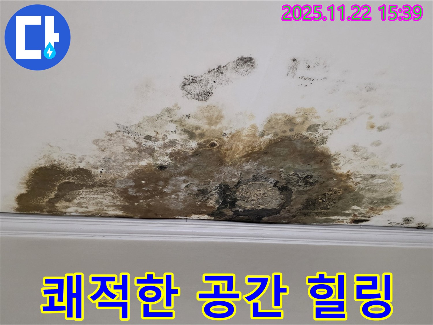 용강동 누수 - 곰팡이 Bye! 누수 해결로 쾌적한 공간에서 힐링하세요!