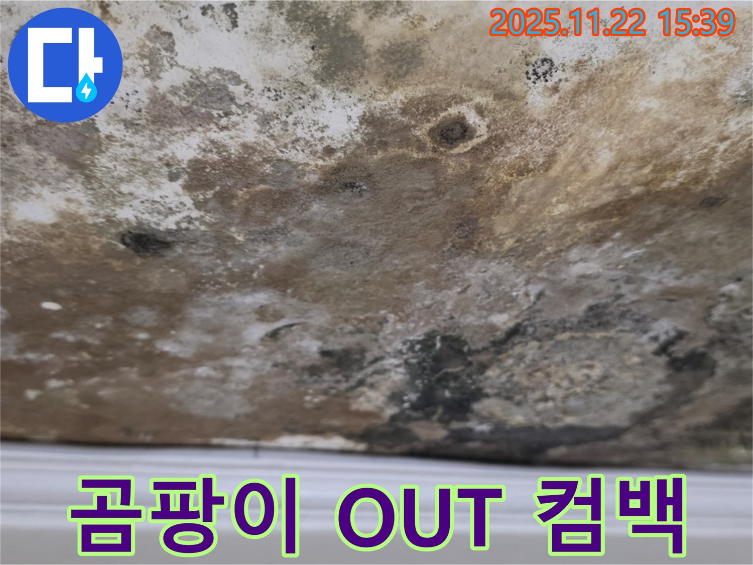 용강동 누수 - 곰팡이 OUT, 쾌적한 보금자리로 컴백!