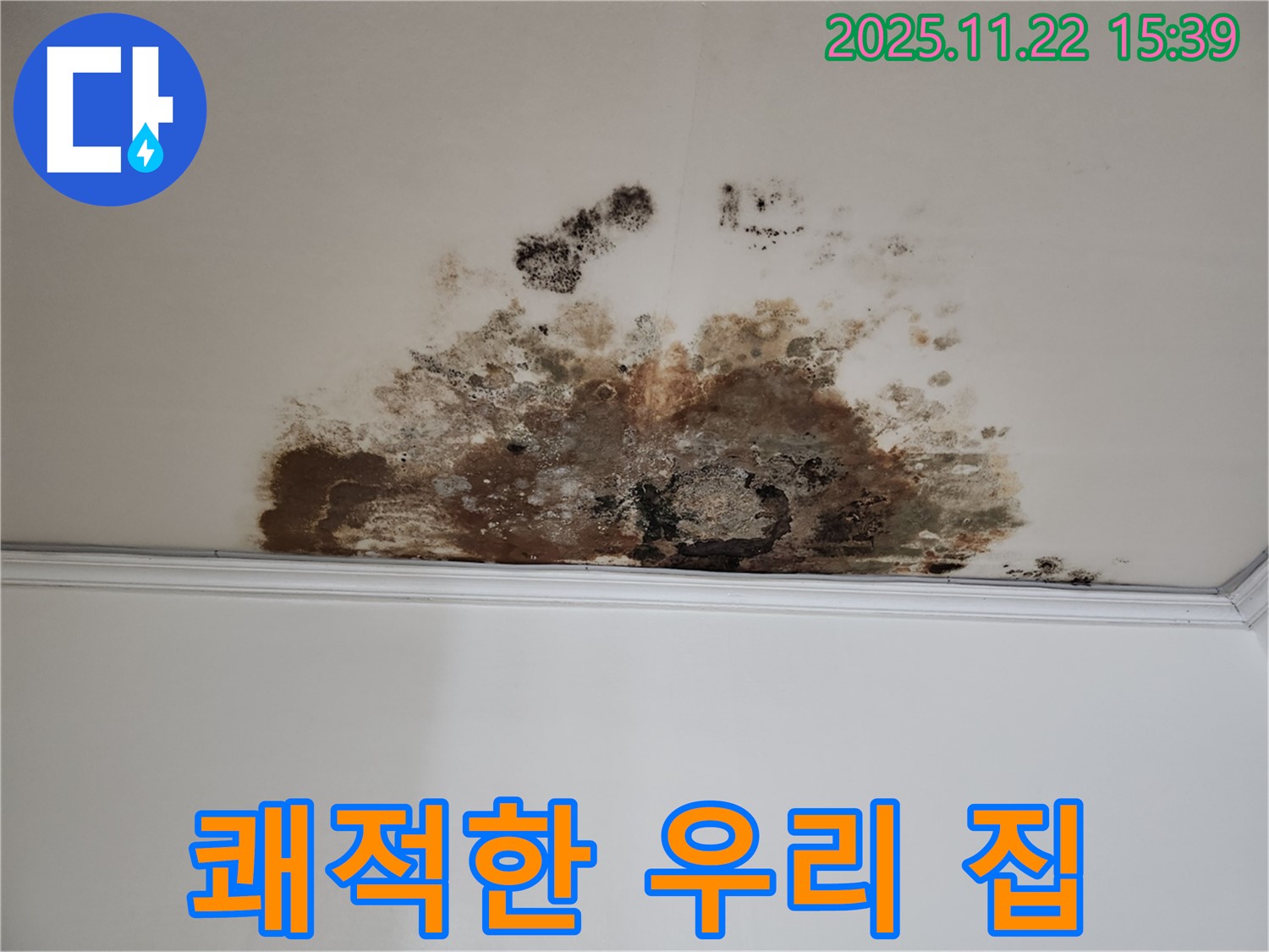 용강동 누수 - 곰팡이 OUT, 쾌적한 우리 집 만들기
