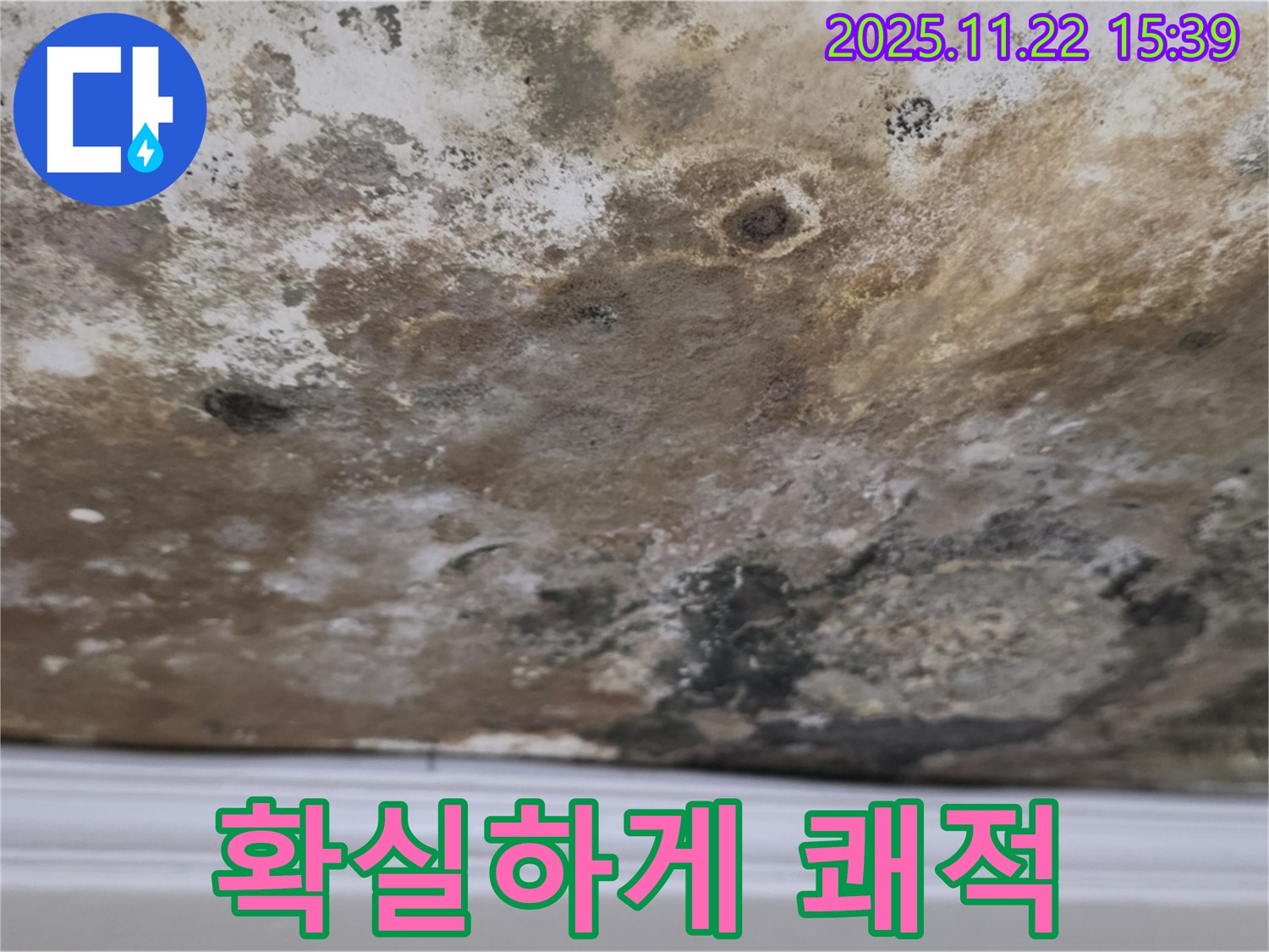 용강동 누수 - 곰팡이 득실 천장, 확실하게 쾌적하게