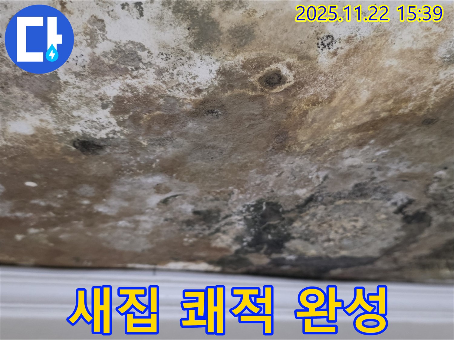 용강동 누수 - 곰팡이 천장, 새집처럼 변신, 쾌적한 공간 완성