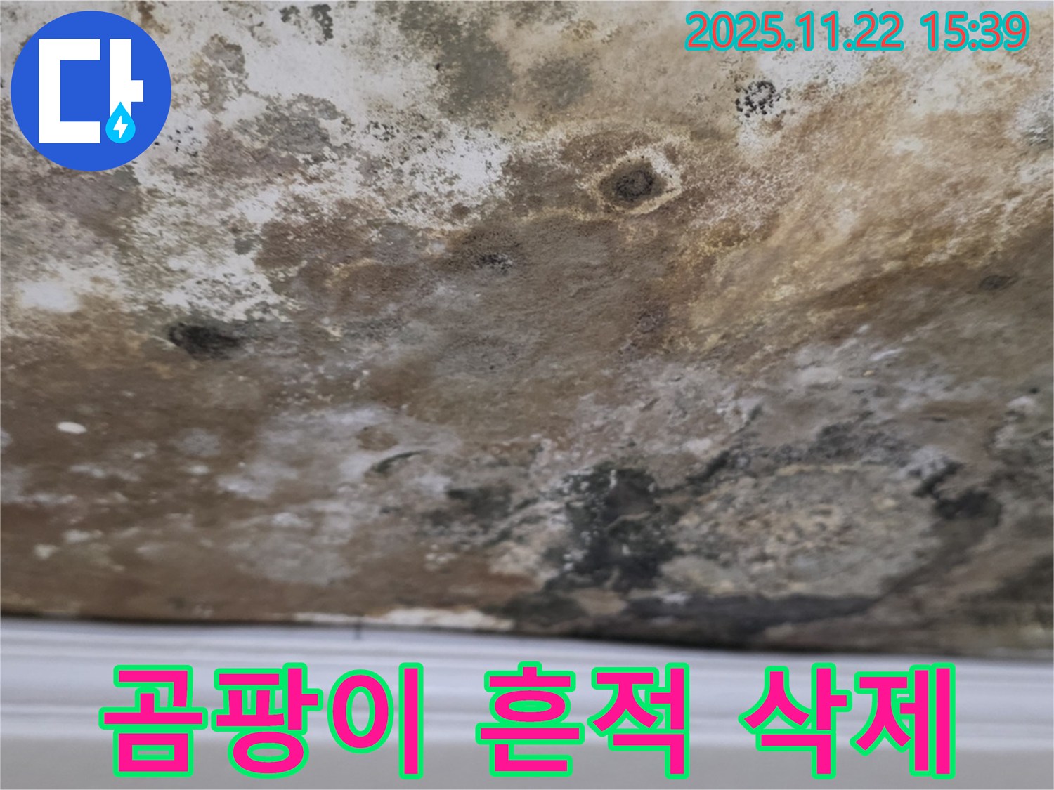 용강동 누수 - 곰팡이 흔적 삭제, 쾌적한 공간으로 리셋!
