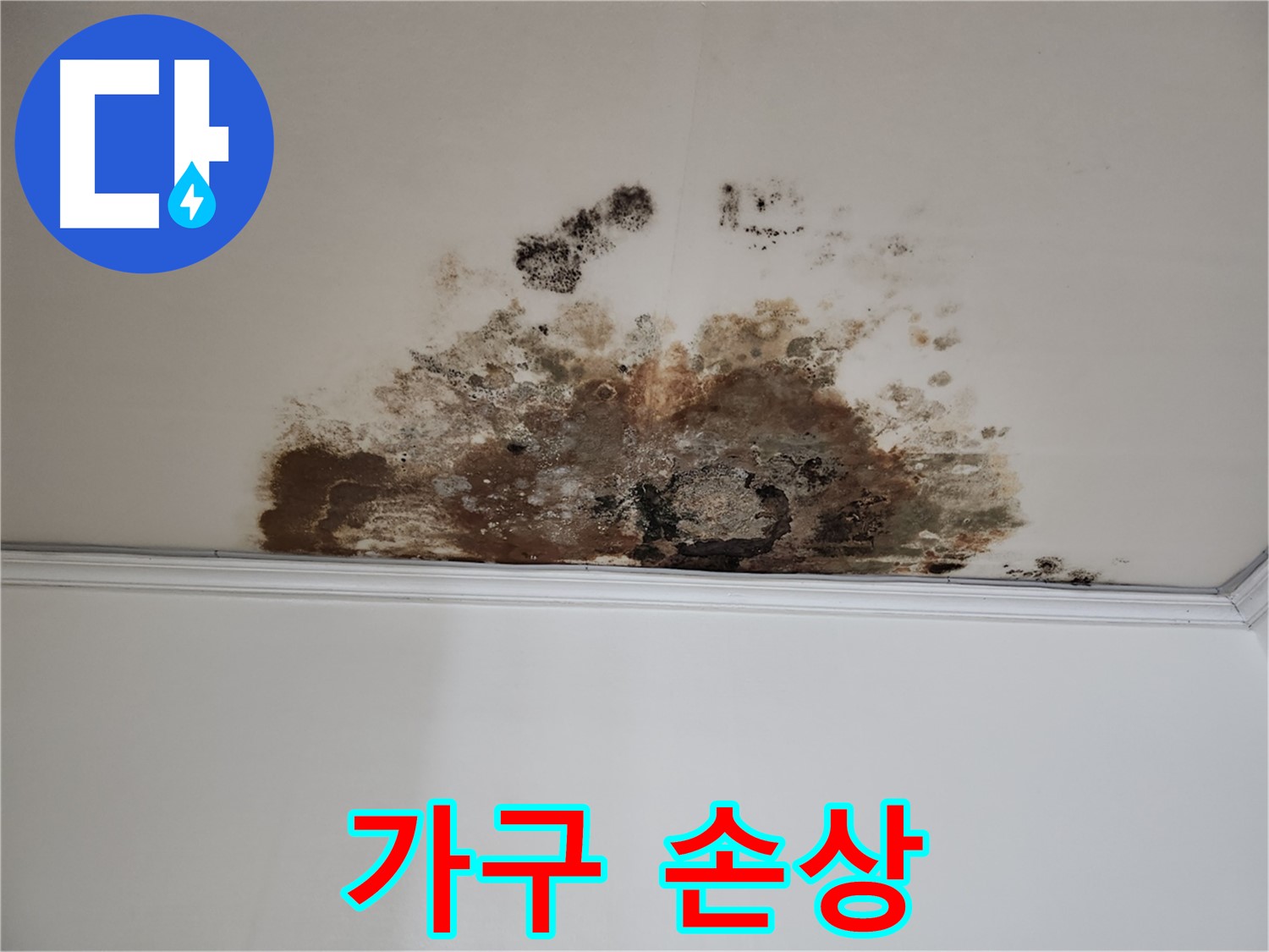 용강동 누수 - 곰팡이로 인한 가구 손상