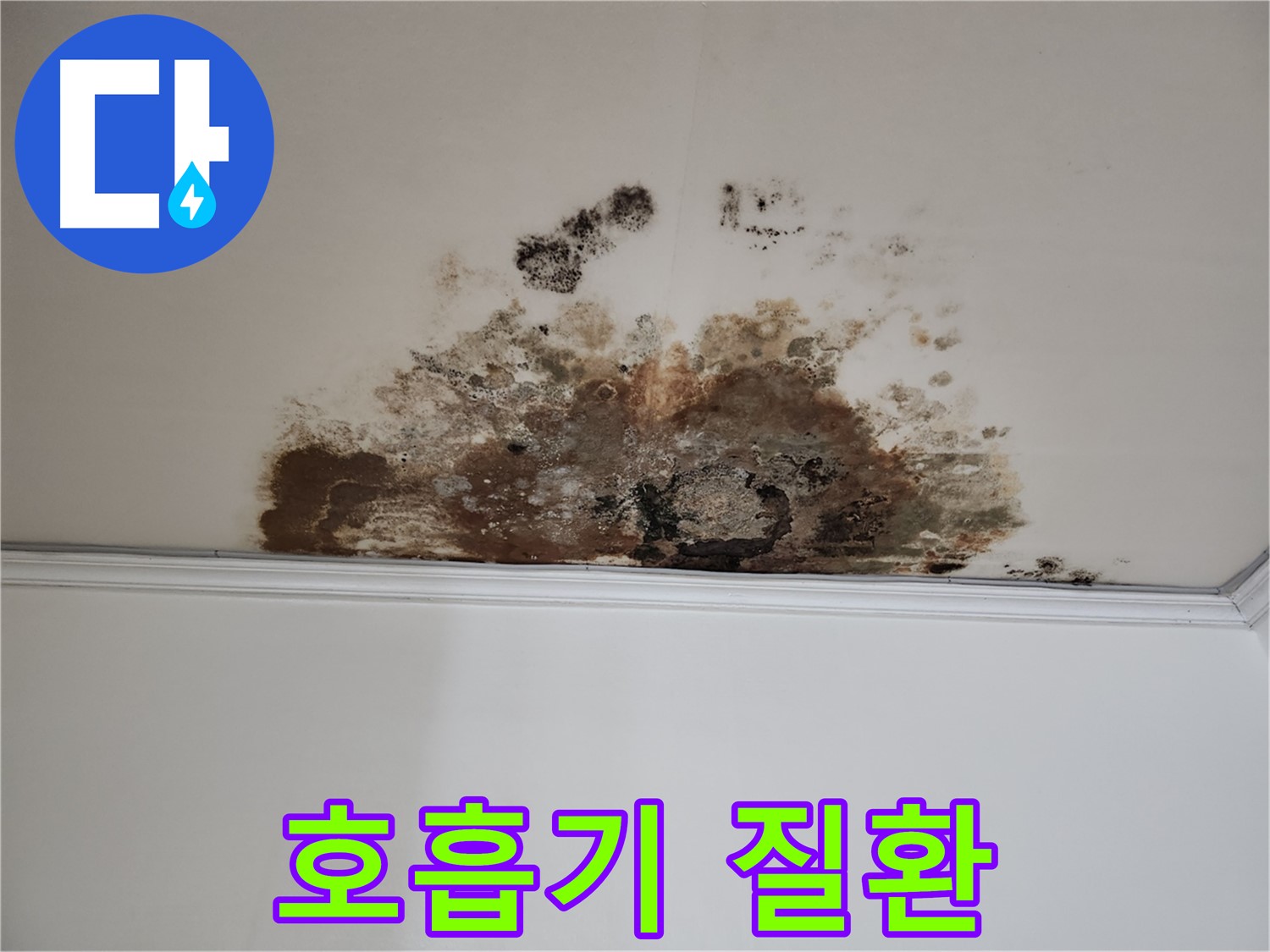 용강동 누수 - 곰팡이로 인한 호흡기 질환