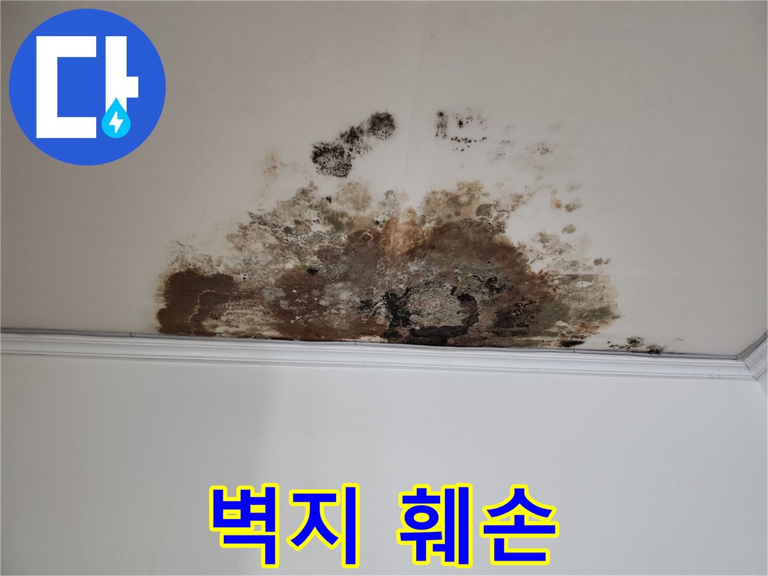용강동 누수 - 벽지 훼손 해결