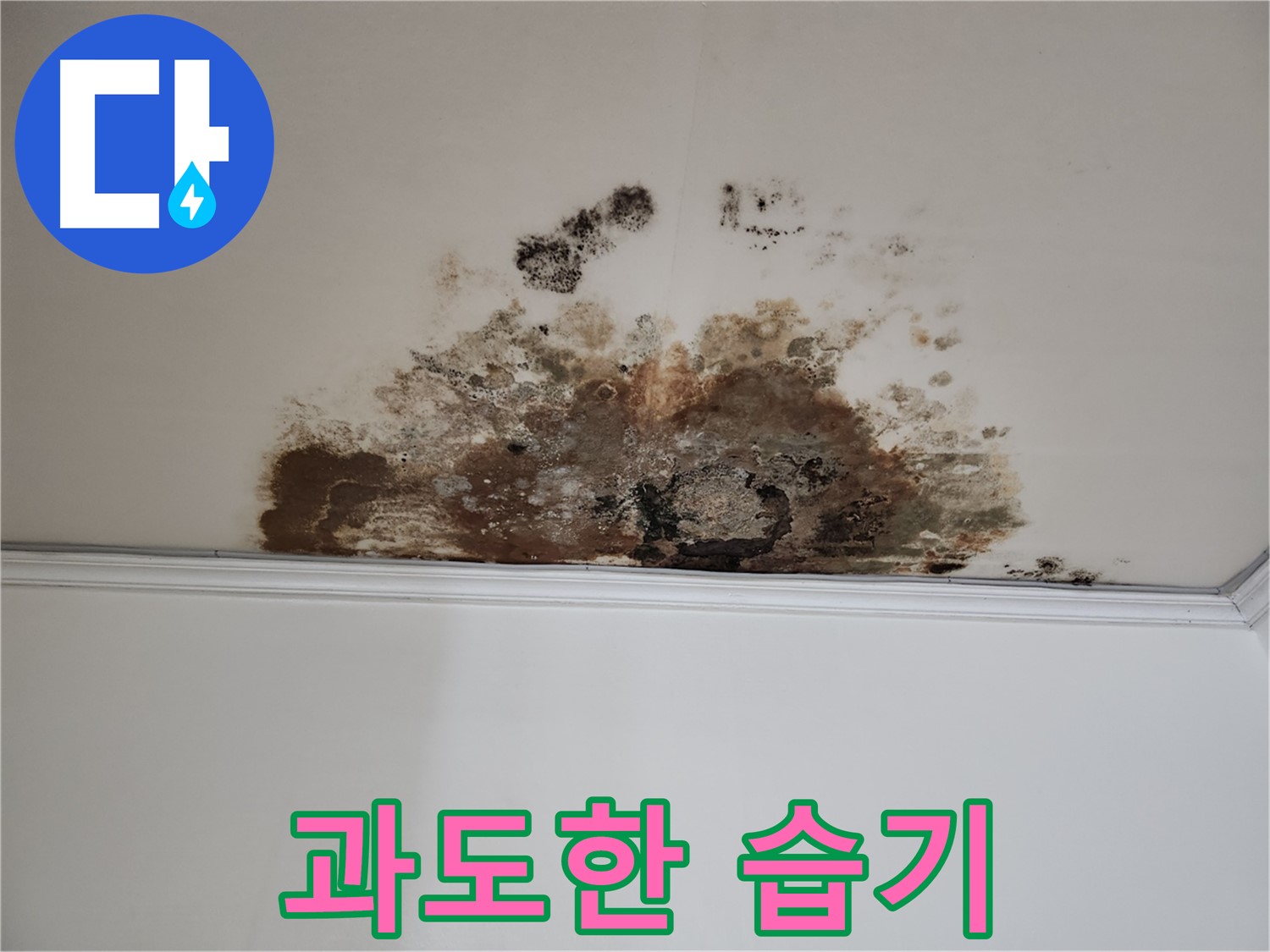 용강동 누수 - 습기 제거 해결