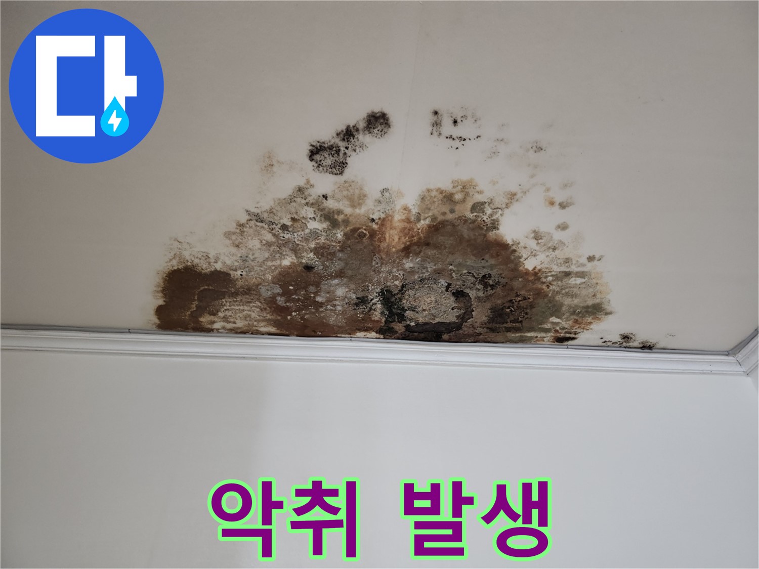 용강동 누수 - 악취 제거