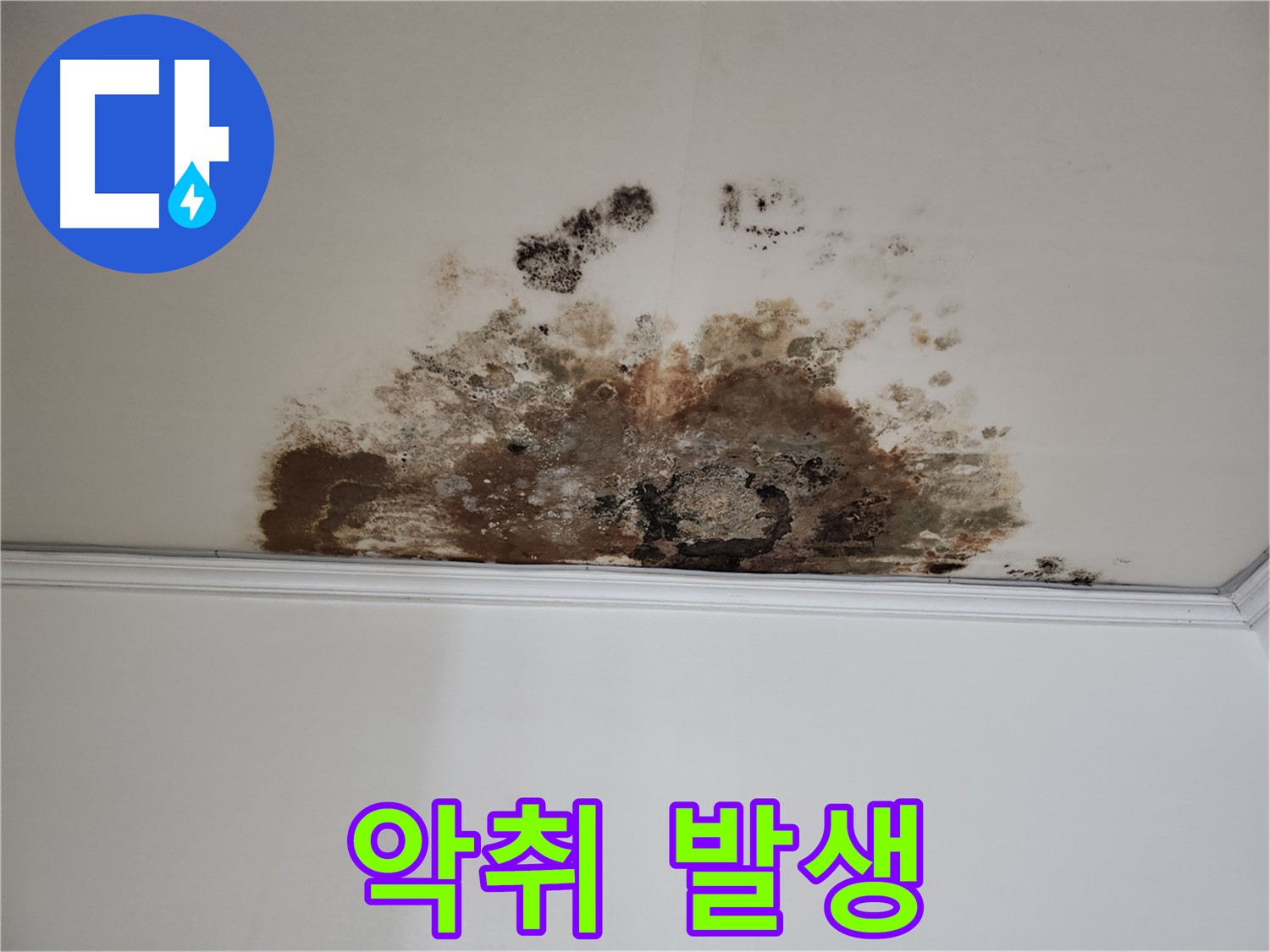 용강동 누수 - 악취 제거