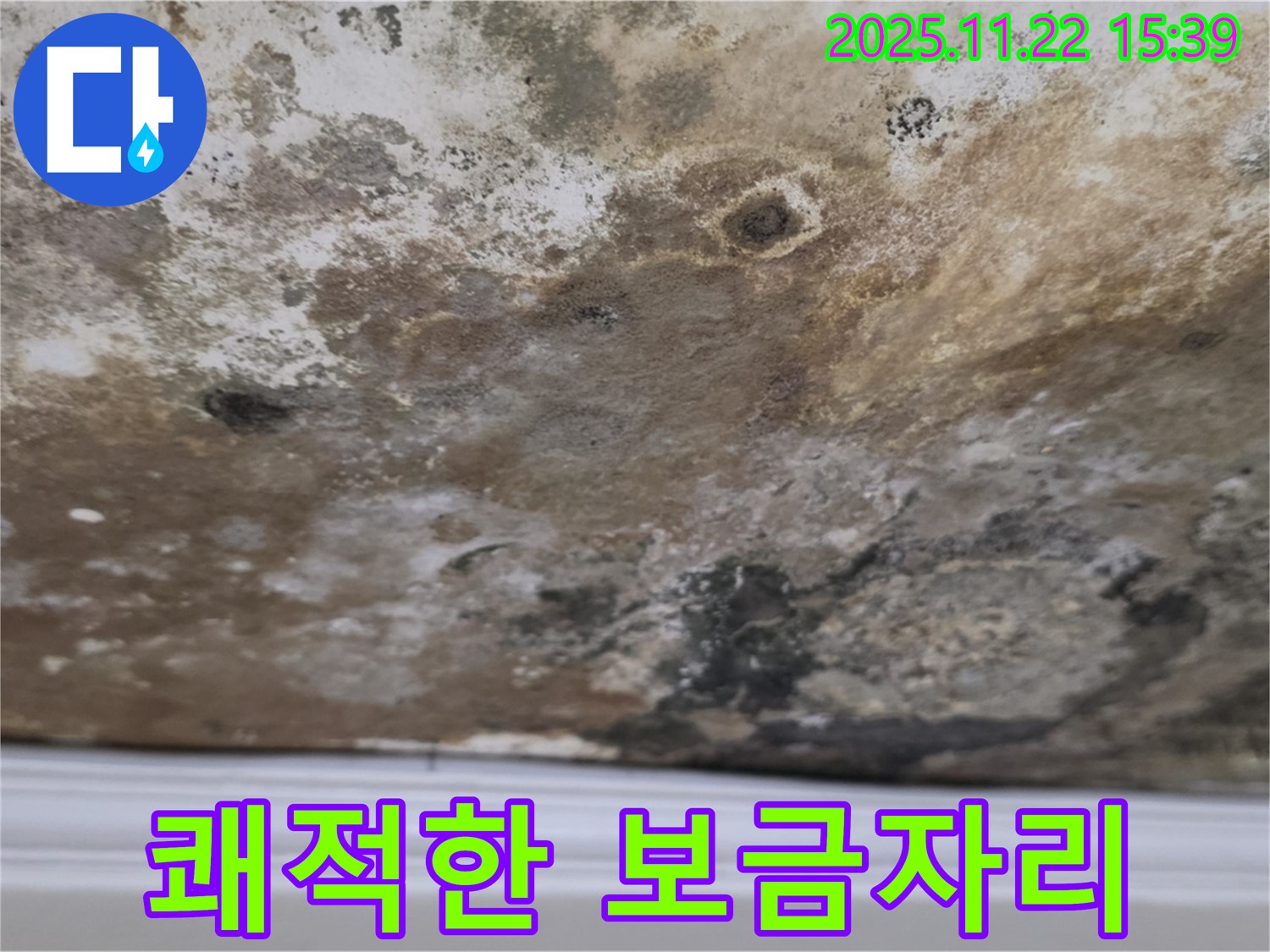 용강동 아파트 - 곰팡이 싹쓸이, 쾌적한 보금자리 완성