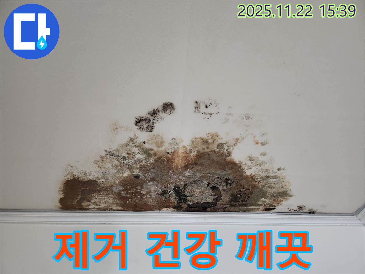 용강동 아파트 - 곰팡이 천장, 곰팡이 제거로 건강하고 깨끗한 공간으로