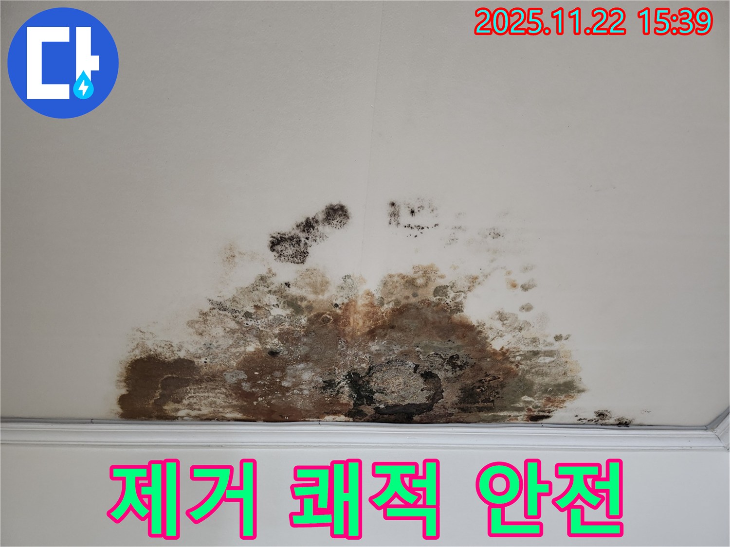 용강동 아파트 - 곰팡이 천장, 곰팡이 제거로 쾌적하고 안전한 보금자리로