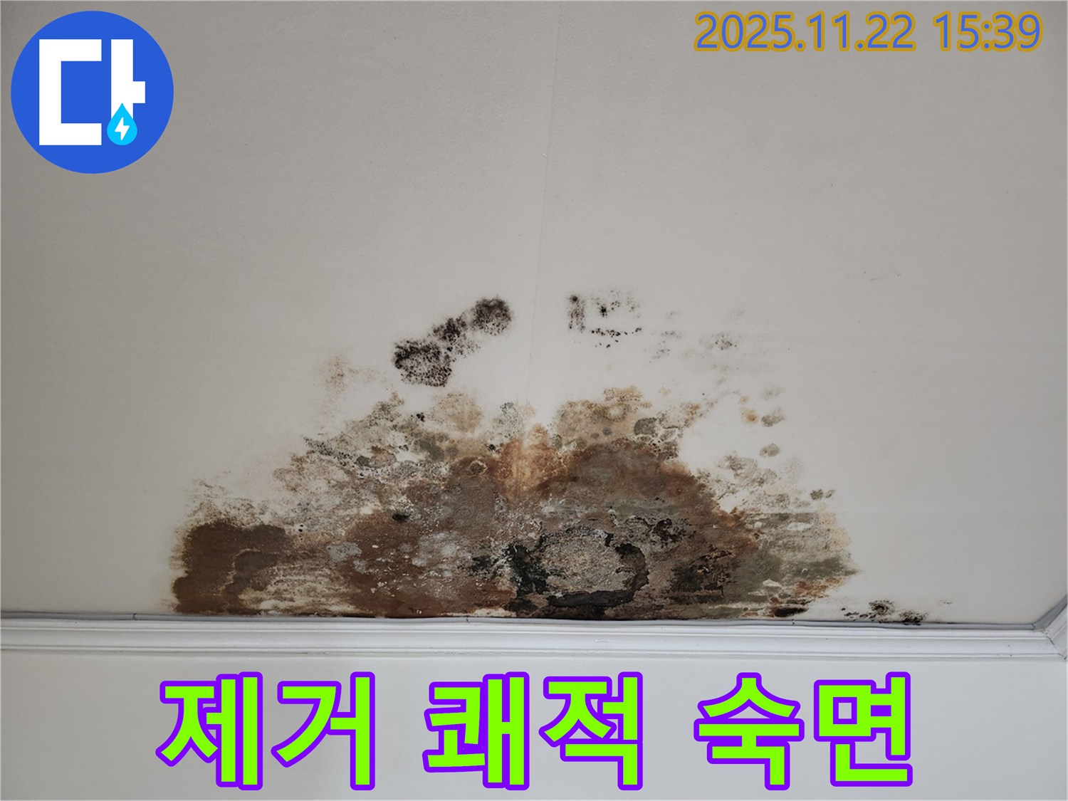 용강동 아파트 - 곰팡이 천장, 곰팡이 제거로 쾌적한 환경에서 숙면을