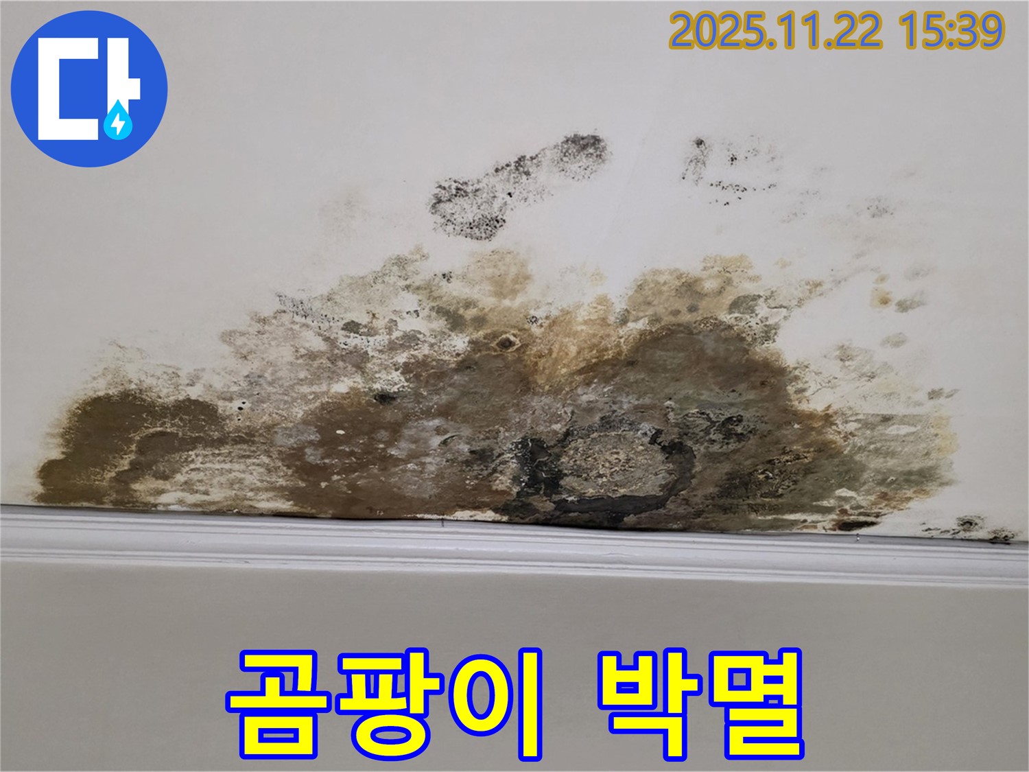 용강동 아파트 누수 - 곰팡이 완전 박멸, 쾌적한 공간 되찾기