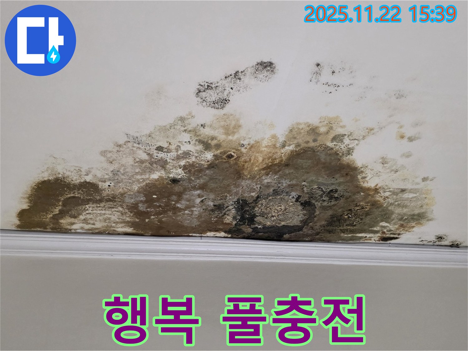 용강동 아파트 누수 - 곰팡이와의 악연 완전 청산, 쾌적한 공간에서 행복 풀충전!