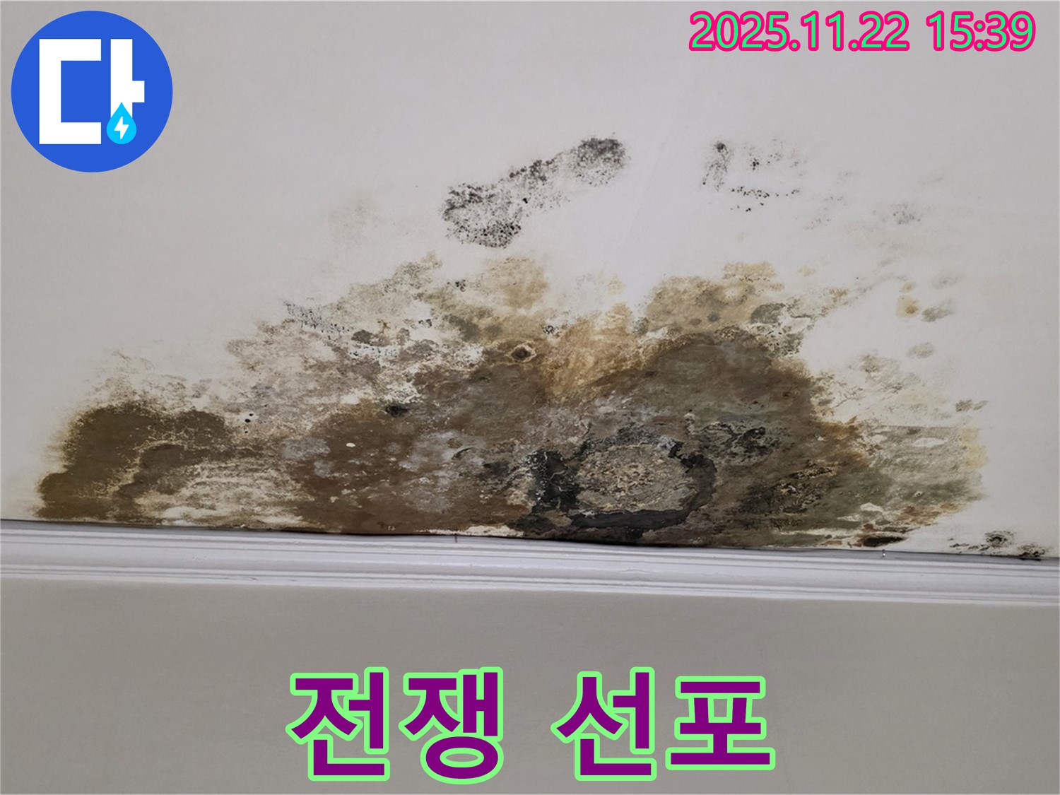 용강동 아파트 누수 - 곰팡이와의 전쟁 선포, 쾌적한 보금자리 사수!