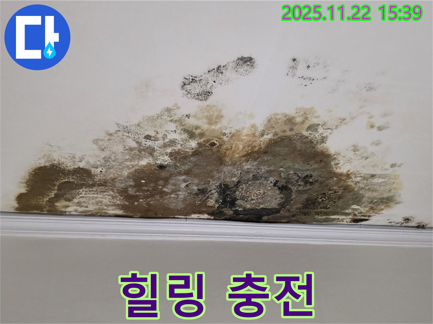 용강동 아파트 누수 - 곰팡이와의 전쟁 완전 종료, 쾌적한 공간에서 힐링 풀파워 충전!