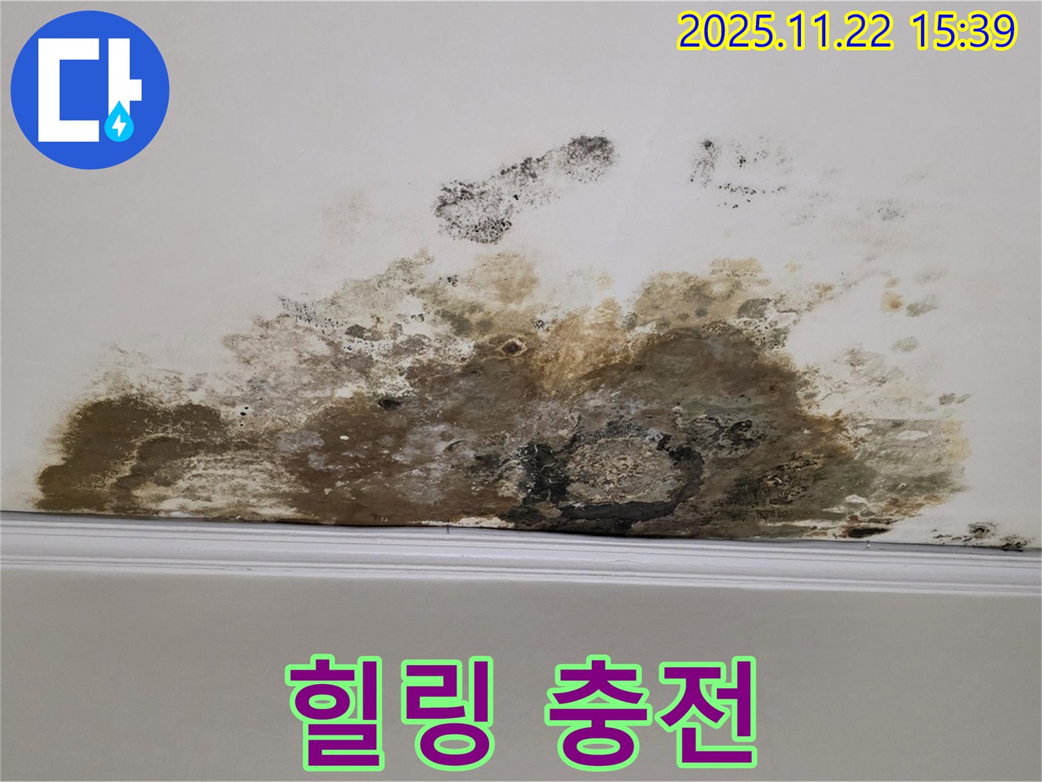 용강동 아파트 누수 - 곰팡이와의 전쟁 완전 종료, 쾌적한 공간에서 힐링 풀파워 충전 완료!