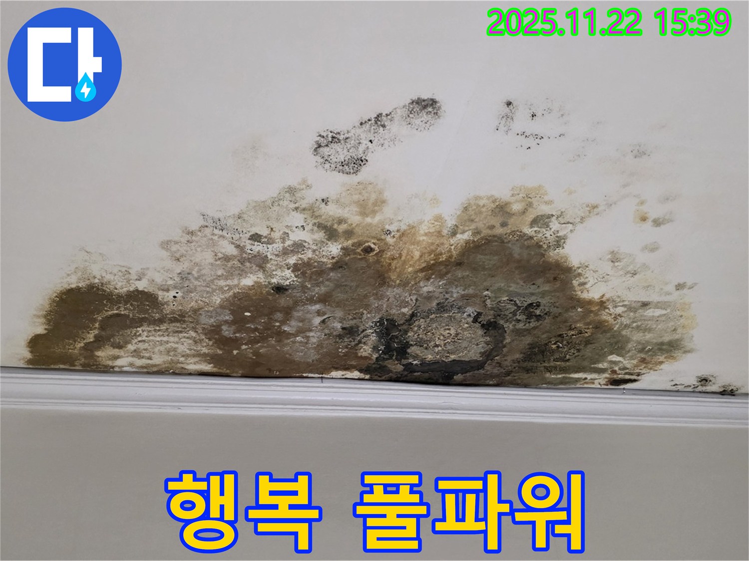 용강동 아파트 누수 - 곰팡이와의 질긴 악연 완전 청산, 쾌적한 공간에서 행복 풀파워!