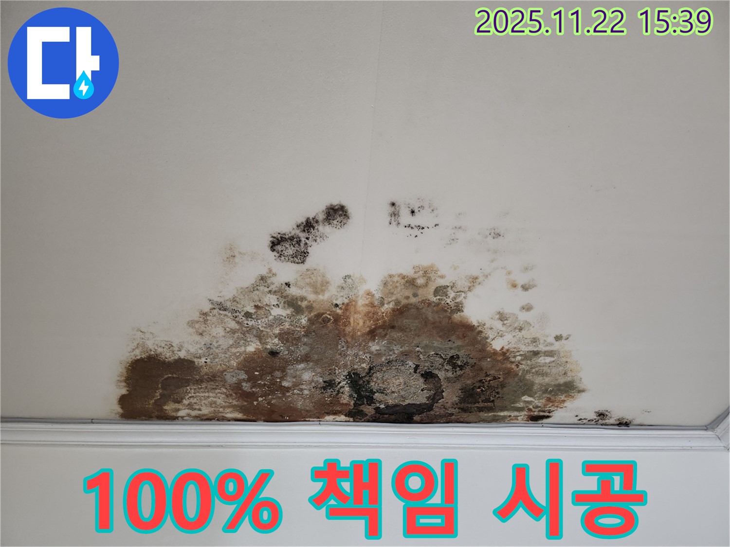 용강동 아파트 천장 - 100% 책임 시공 약속