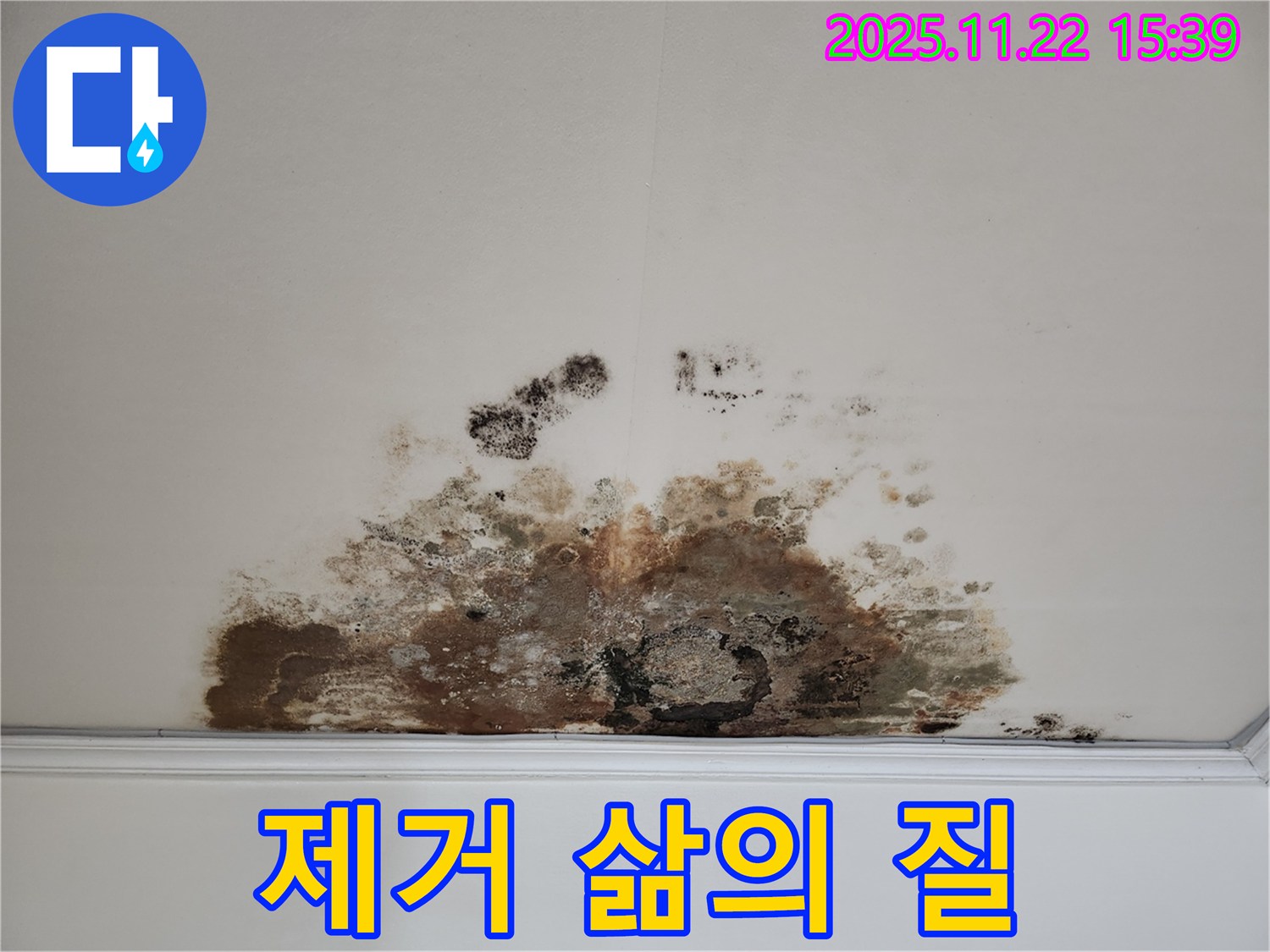 용강동 현대홈타운 아파트 - 곰팡이 천장, 곰팡이 제거! 삶의 질 향상!