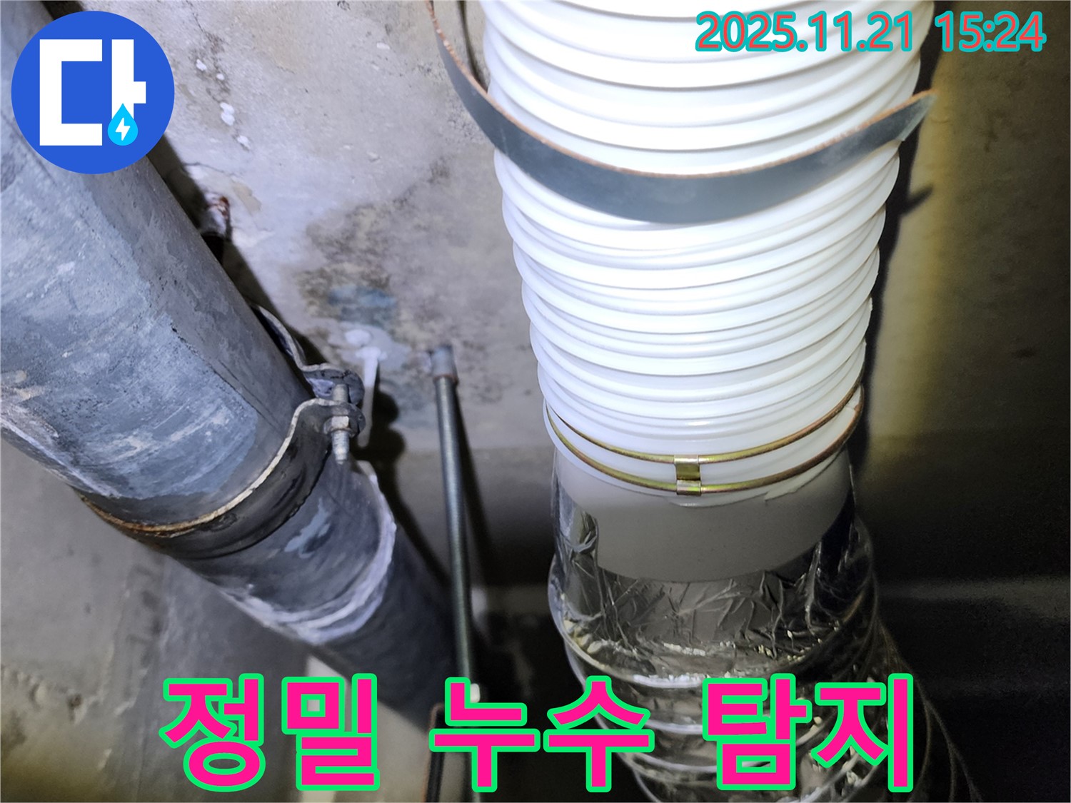 가산면 정교리 - 정밀 누수 탐지 작업